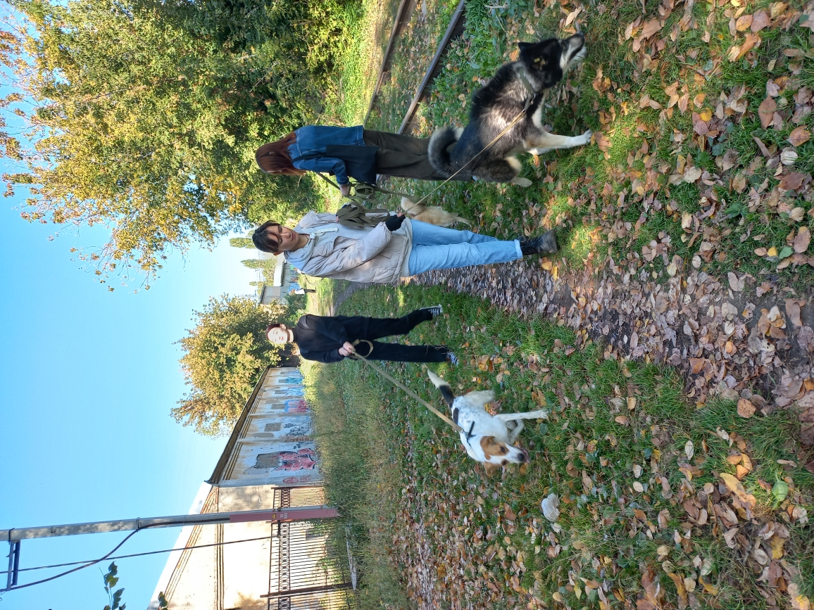 Студенты группы 22ИПД1 посетили приют Питомец